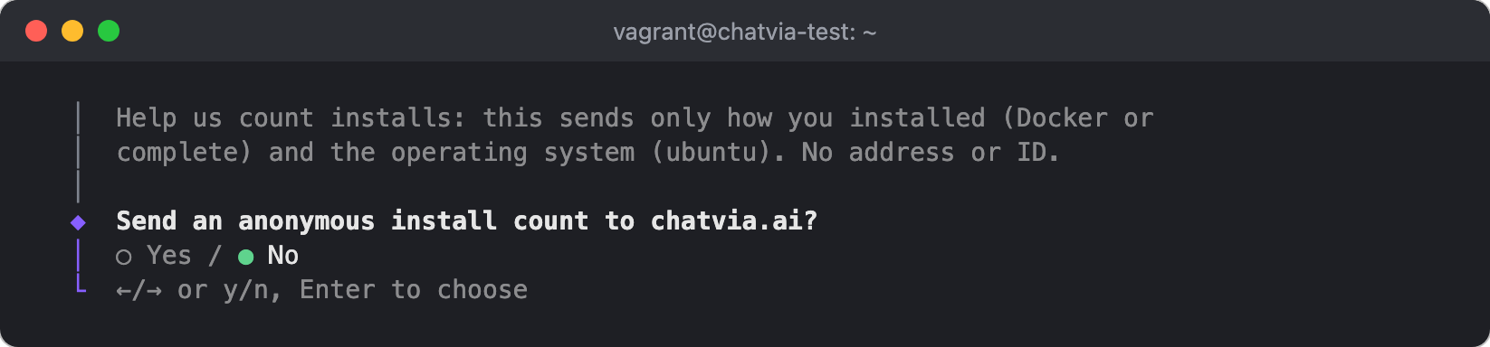 The installer asks to send an anonymous install count