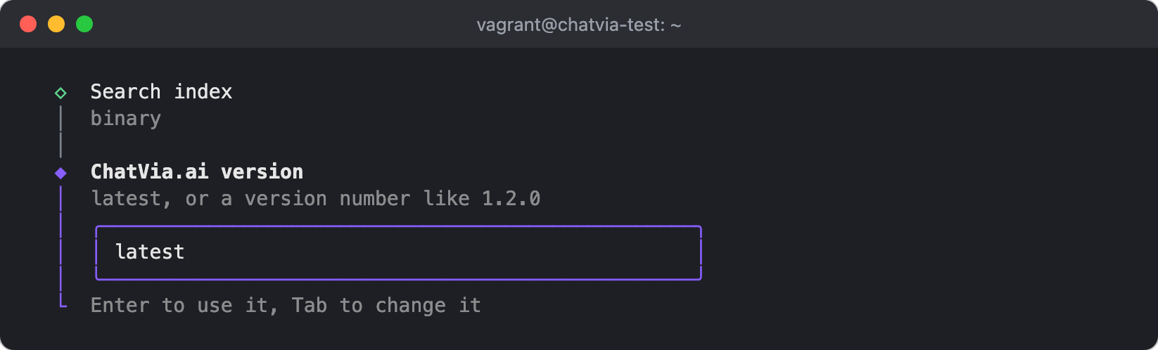 The installer asks for the version